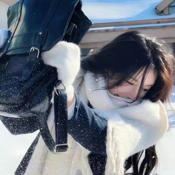 窈窕淑男的日记海报